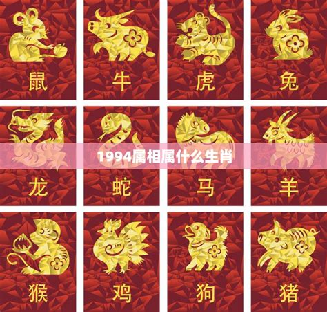 1994屬|1994年属什么生肖 1994年出生的生肖是什么命